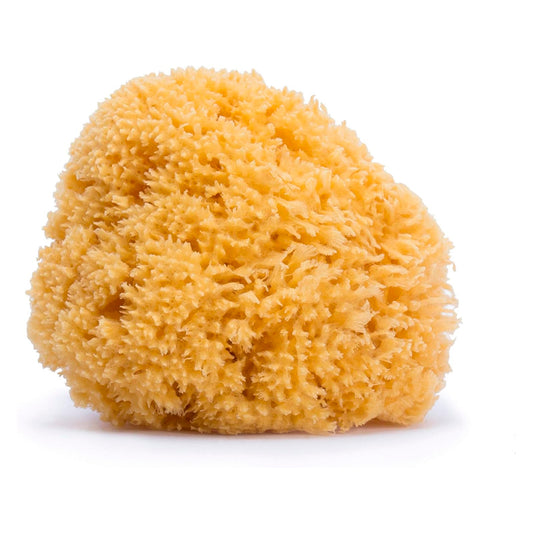 Esponja natural del mar para bebés, tamaño grande, suave y absorbente, ideal para el cuidado delicado de la piel durante el baño diario.